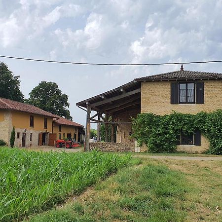 Le Moulin Du Fay Bed & Breakfast Villemotier Luaran gambar